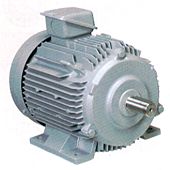 抂巕敔忋晹庢傝晅偗宆